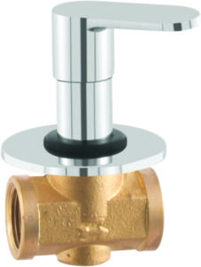 Flush Valve 25mm